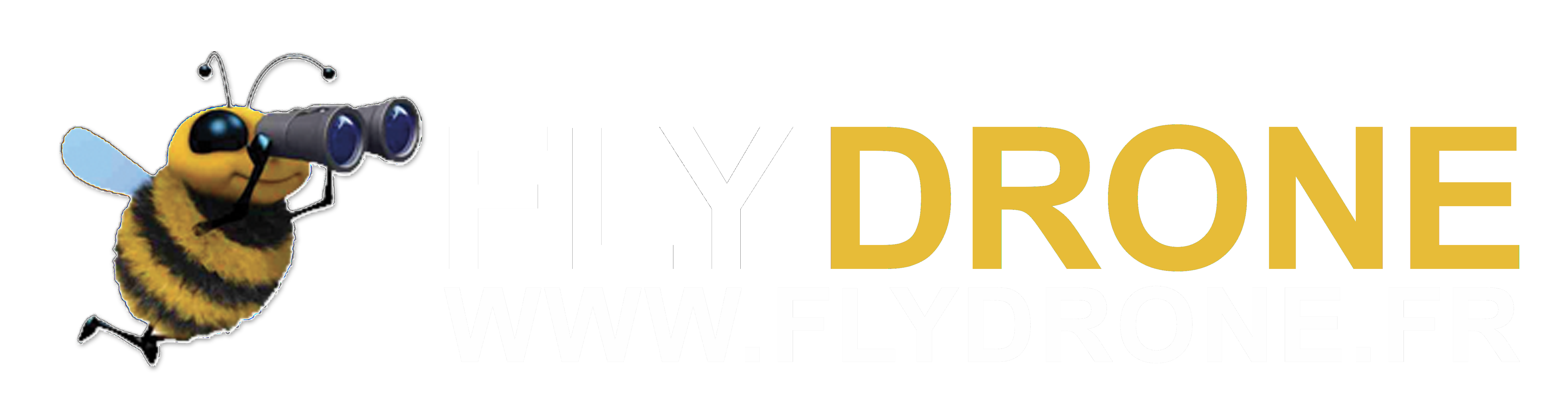 FLYDRONE